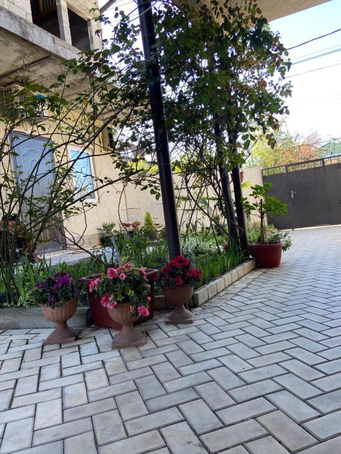 Уютный Дворик Sukhumi Exterior photo